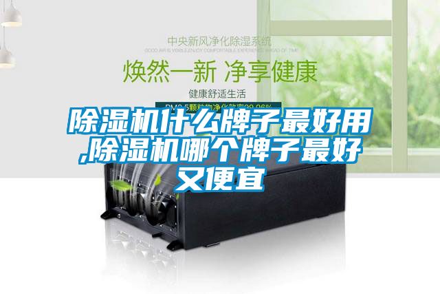 除濕機(jī)什么牌子最好用,除濕機(jī)哪個(gè)牌子最好又便宜