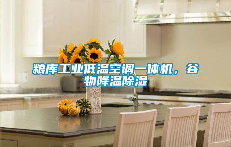糧庫工業(yè)低溫空調(diào)一體機(jī)，谷物降溫除濕
