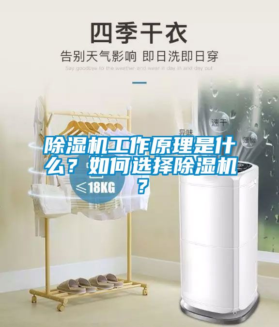 除濕機工作原理是什么？如何選擇除濕機？