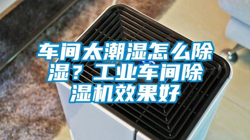 車間太潮濕怎么除濕？工業車間除濕機效果好